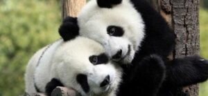Jugando con fechas y vacaciones en Python usando Pandas